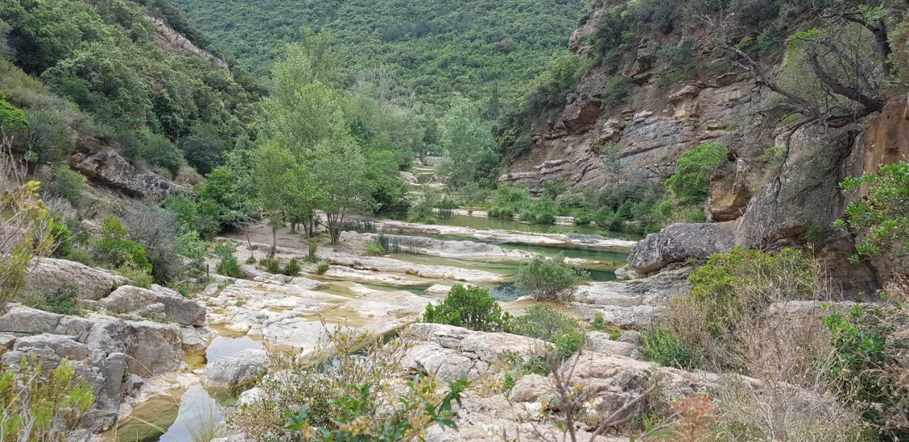 Les Chalets Du Relais D'Aguilar Tuchan Esterno foto